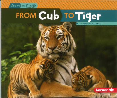 Start to Finish Cycles: From Cub to Tiger