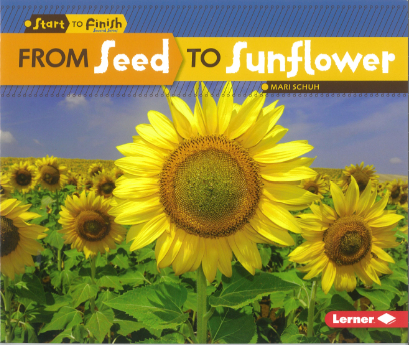Start to Finish Plants: From Seed to Sunflower