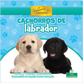 Cachorros de labrador (Labrador Retriever Puppies) (Spanish)