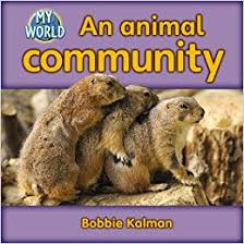 Animals in My World: An Animal Community - H - RR:14