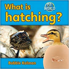 In My (own) World: What is Hatching? - E - RR: 7