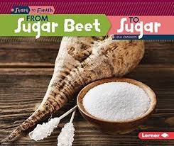 From Start to Finish - Foods: From Sugar Beet to Sugar 