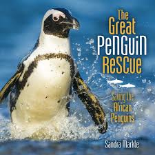 The Great Penguin Rescue Saving The African Penguins