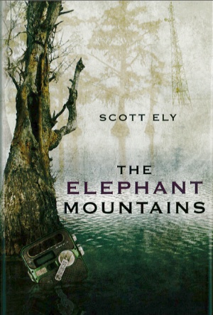 The Elephant Mountains (Orca Fiction)